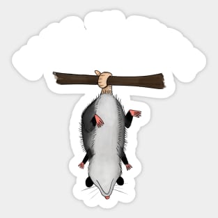 Funny Opossum Design that Says Hang in There, Retro Humor, Anxiety Possum Unique Sticker